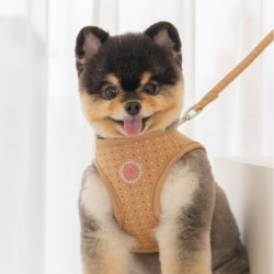 Pinkaholic MILA | Harnais veste pour petit chien | Beige