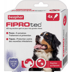 Beaphar | Fiprotec Spot-On | 4 Pipettes 402 mga |Pour très grands chiens 40-60 kg