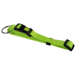 Collier nylon Chien Vert - Collier Chien Solide