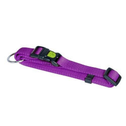 Collier nylon Chien Violet - Collier Chien Solide