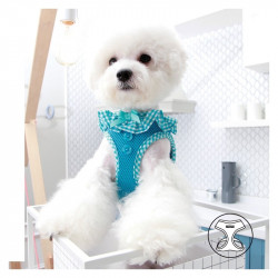Puppia Vivien | Harnais réglable pour chien | Vichy bleu
