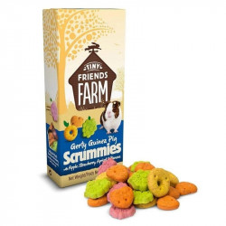 Tiny Friends Farm – Gerty Guinea Pig Scrummies – Friandises Cochon D’Inde