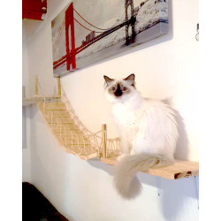 Le pont chat'venturier |parcours mural pour chats