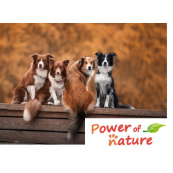 Power of Nature | Croquettes pour chien Meadowland Dog 12kgs