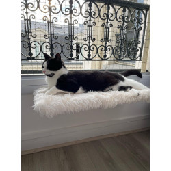 Chat'rcours Muraux | Couchette murale cosy | Pour chat