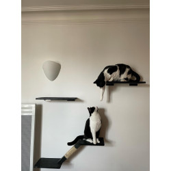 Chat'rcours Muraux | Parcours mural poutre pour chat