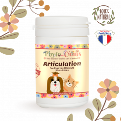 Phyto-Câlins / Harpagophytum 100% Naturel Soulage Douleurs Arthrose / Chien & chat