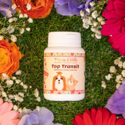 Phyto-câlins | Gélules top transit 100% Naturel pour chien purifie le système digestif