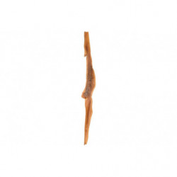 Flamingo | Chien | Peau de tête de Buffle 50cm
