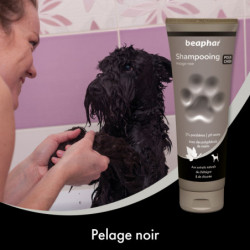 Beaphar | Chien | Shampooing pour pelage noir