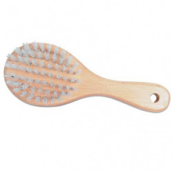 Ideal Dog | Chat | Brosse Poil Court