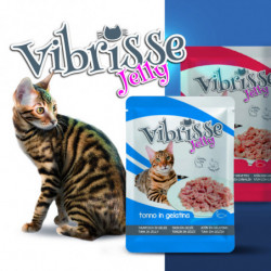 Vibrisse | Chat | Pâtée Jelly Sachet