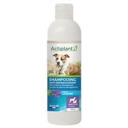 Agecom | Chien | Shampooing Anti-Démangeaisons Actiplant Lavande 250 ml