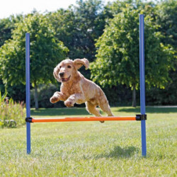 Trixie | Chien | Obstacle Fun Agility