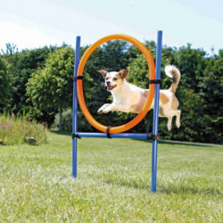 Trixie | Chien | Anneau Fun Agility