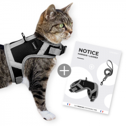 Harnais Chat, Harnais Chaton, Chihuahua et Petit Chien | 2 Tailles (XS-S) | Laisse pour Chat de 1,60m | Harnais Anti Fugue