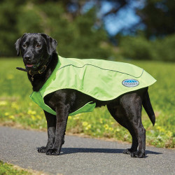 Weatherbeeta | Chien | Manteau Fluo Haute Visibilité