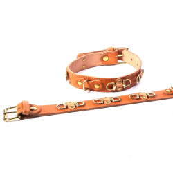 Collier chien luxe cuir souple accessoire décor personnalisé mors à cheval