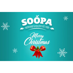 Box de Friandises de Noël naturelles - Soopa