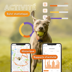 TRACEUR GPS CHIEN NOIR - WEENECT