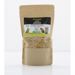 Octave Bauchant | Riz paddy pour oiseaux exotiques, perruches et canaris 300g