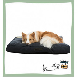 Trixe | Chien | Coussin Déhoussable et Lavable