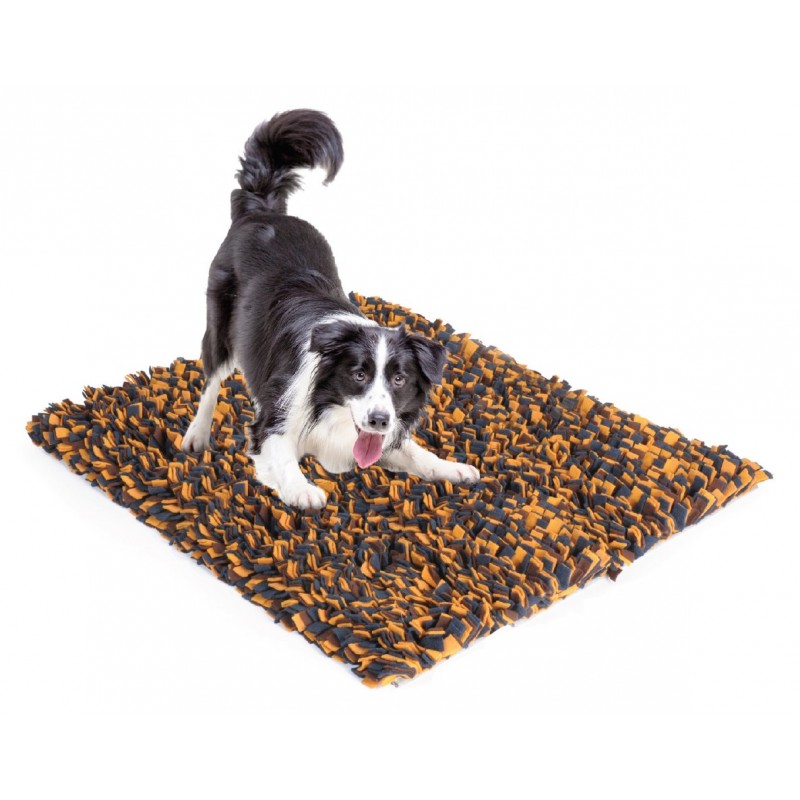 tapis de fouille pour chien camon