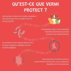 Vermi Protect – Vermifuge Naturel pour Chien et Chat sous forme de comprimés – Museau & Co | Made in France