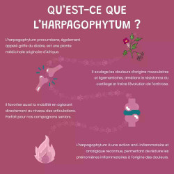 Harpagophytum Chien et Chat, 100gr - Anti Arthrose, Anti Inflammatoire, Hanche, Articulation, Mobilité – Museau & Co