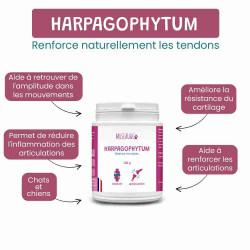 Harpagophytum Chien et Chat, 100gr - Anti Arthrose, Anti Inflammatoire, Hanche, Articulation, Mobilité – Museau & Co