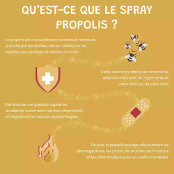 Spray Propolis Chien et Chat, 100ml – Apaise la Gorge, Cicatrisation, Anti-inflammatoire, Défenses Immunitaires - Museau & Co