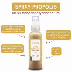 Spray Propolis Chien et Chat, 100ml – Apaise la Gorge, Cicatrisation, Anti-inflammatoire, Défenses Immunitaires - Museau & Co