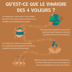 Vinaigre des 4 Voleurs Chien et Chat, 250ml – Parasites, Pelage, Anti Démangeaison Naturel - Museau & Co | Made in France