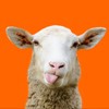 Animaux de la ferme, la cour d'Ooba Ooba Ooba Animaux de la ferme, la cour d'Ooba Ooba Ooba