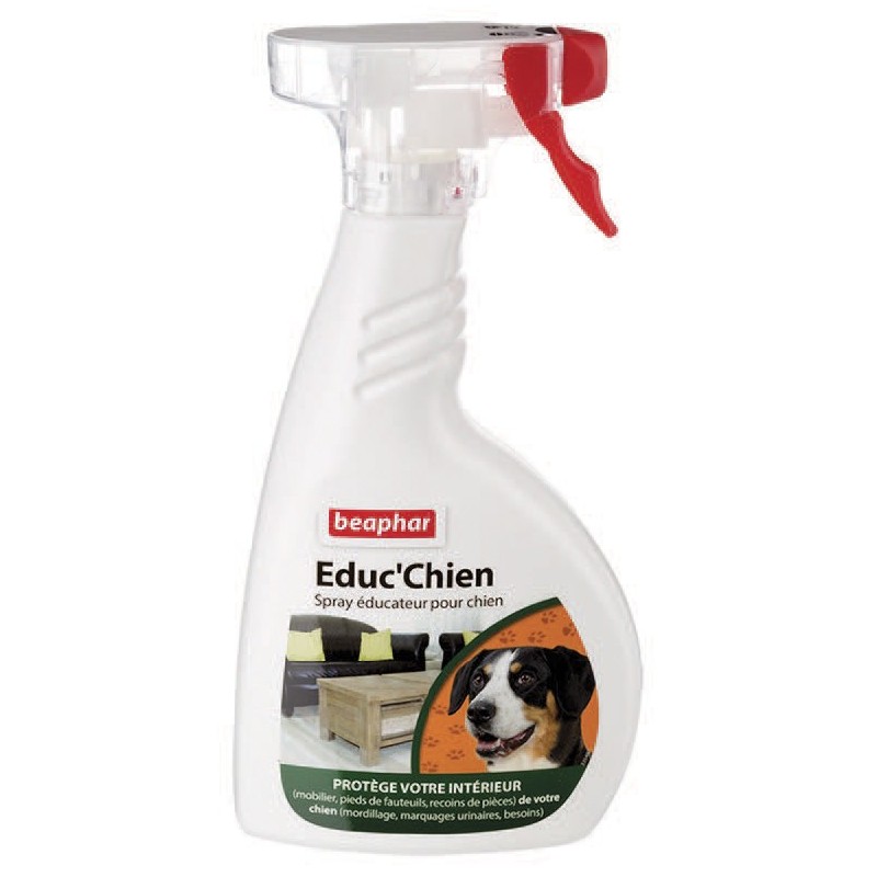 spray répulsif intérieur chien