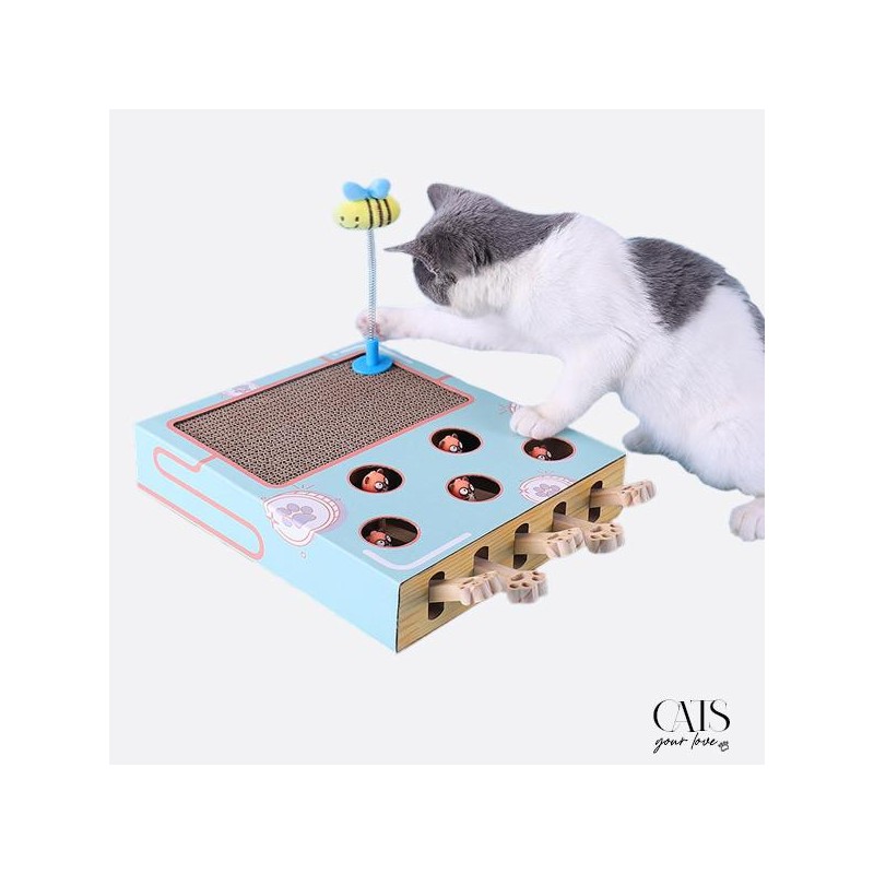 Cats Your Love Diverty cats Jeu interactif chat