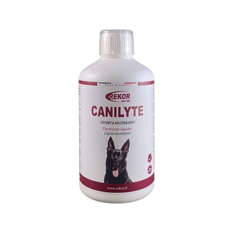 Canilyte complément alimentaire pour chien sportif