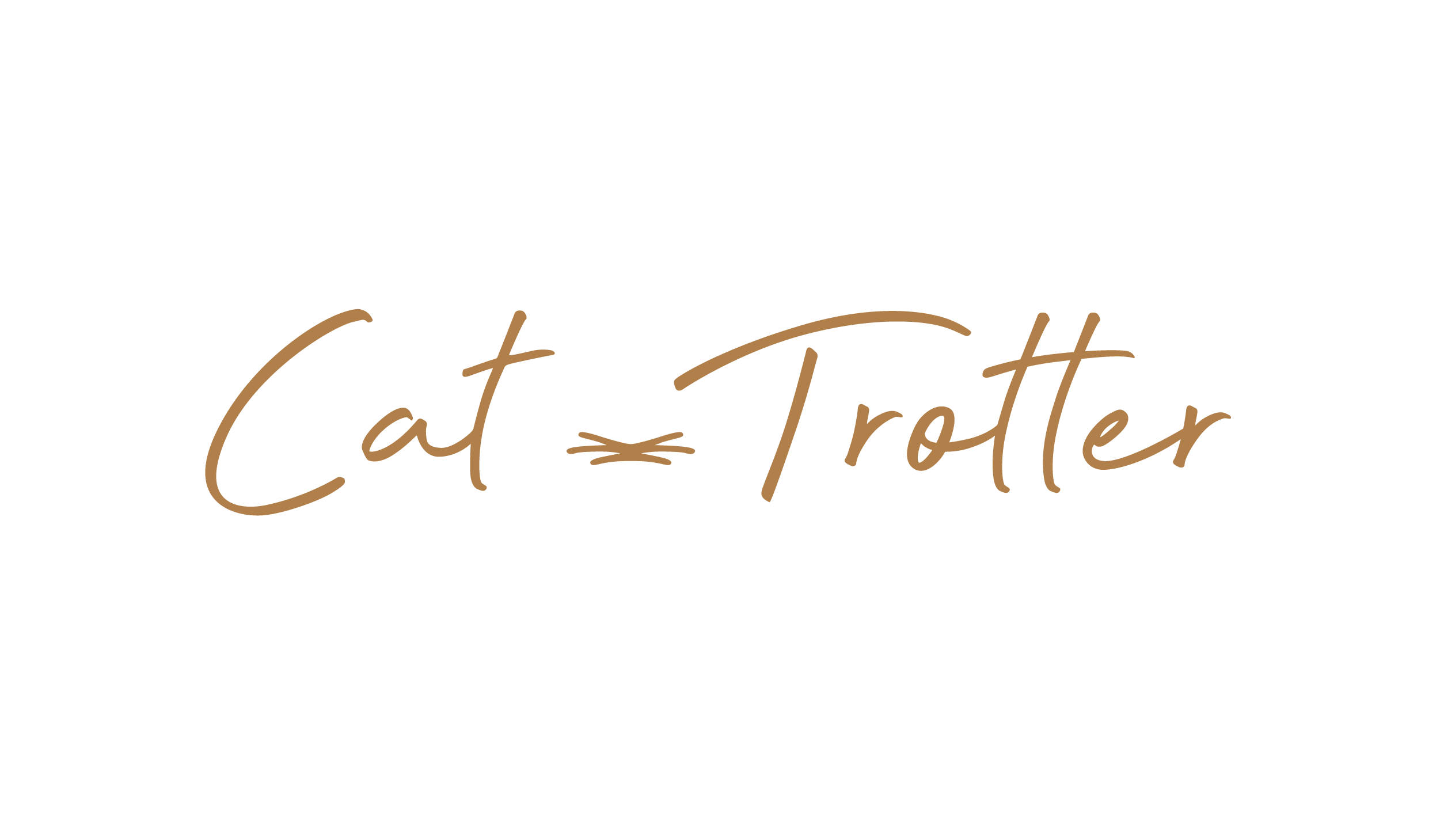 Cat-Trotter