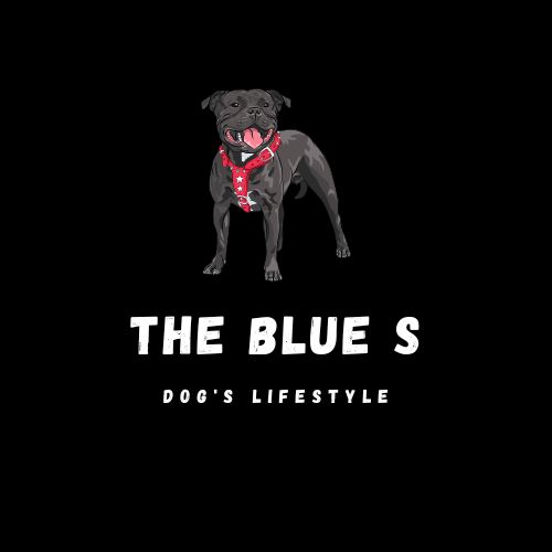 THE BLUE S