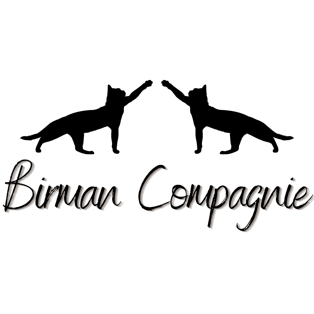 Birman Compagnie