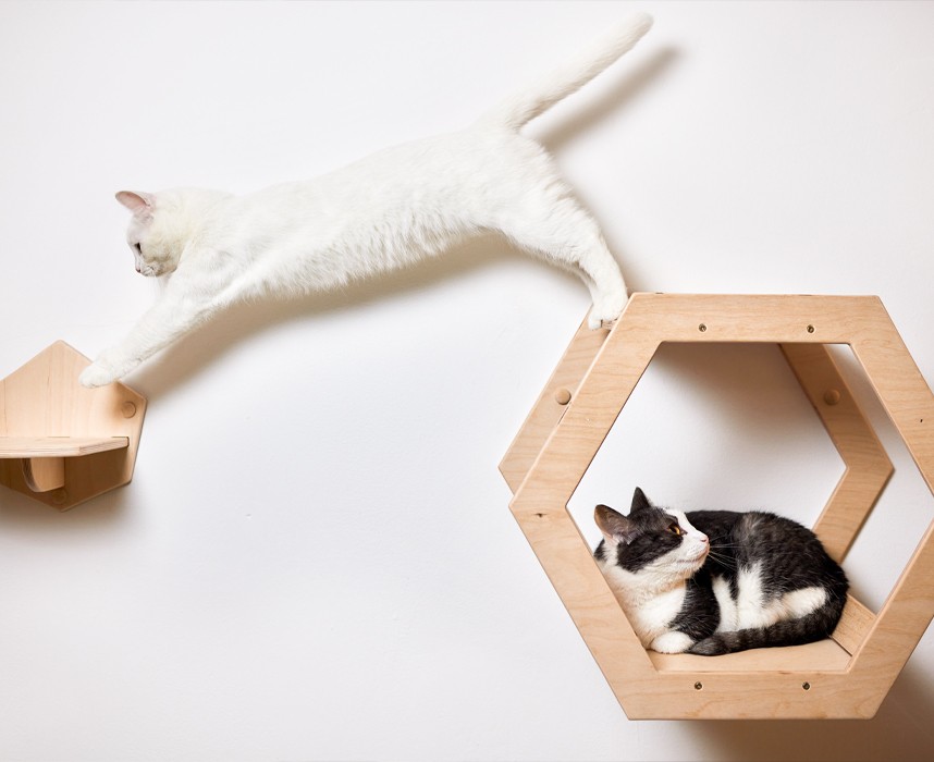 Tout savoir sur le parcours mural pour chat ! Ooba Ooba Tout savoir sur le parcours mural pour chat ! Ooba Ooba