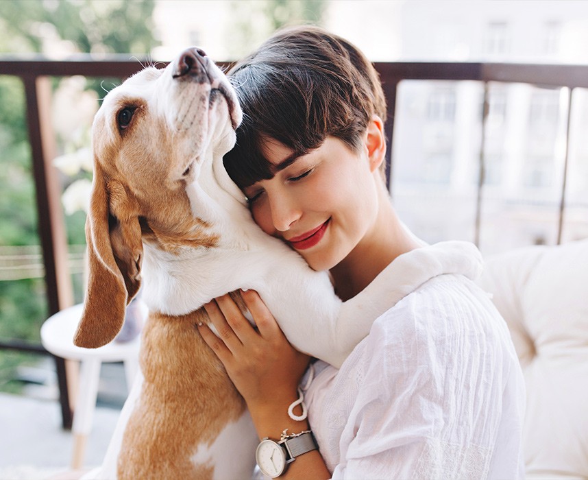 Les bienfaits des animaux sur les humains Ooba Ooba Les bienfaits des animaux sur les humains Ooba Ooba