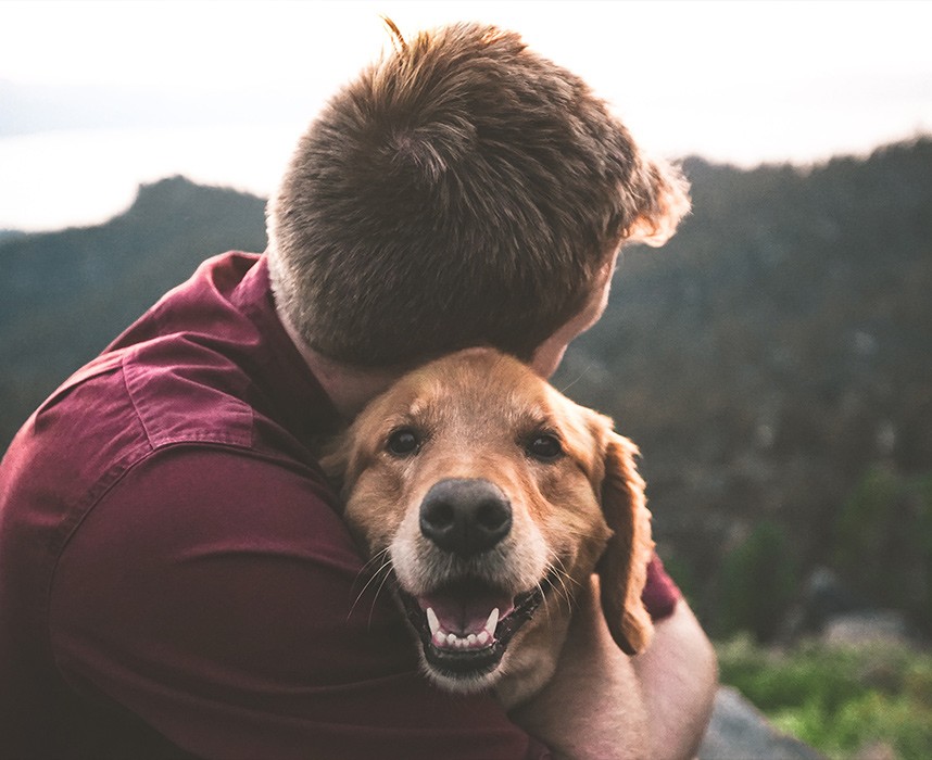 Comment prendre soin de son chien en fin de vie ? Ooba Ooba