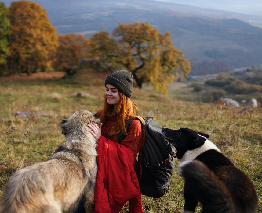 Partir en vacances avec son animal : le mode d’emploi Ooba Ooba