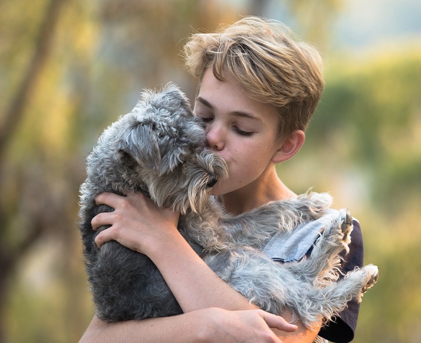 Comment montrer à ses animaux qu’on les aime ? Ooba Ooba