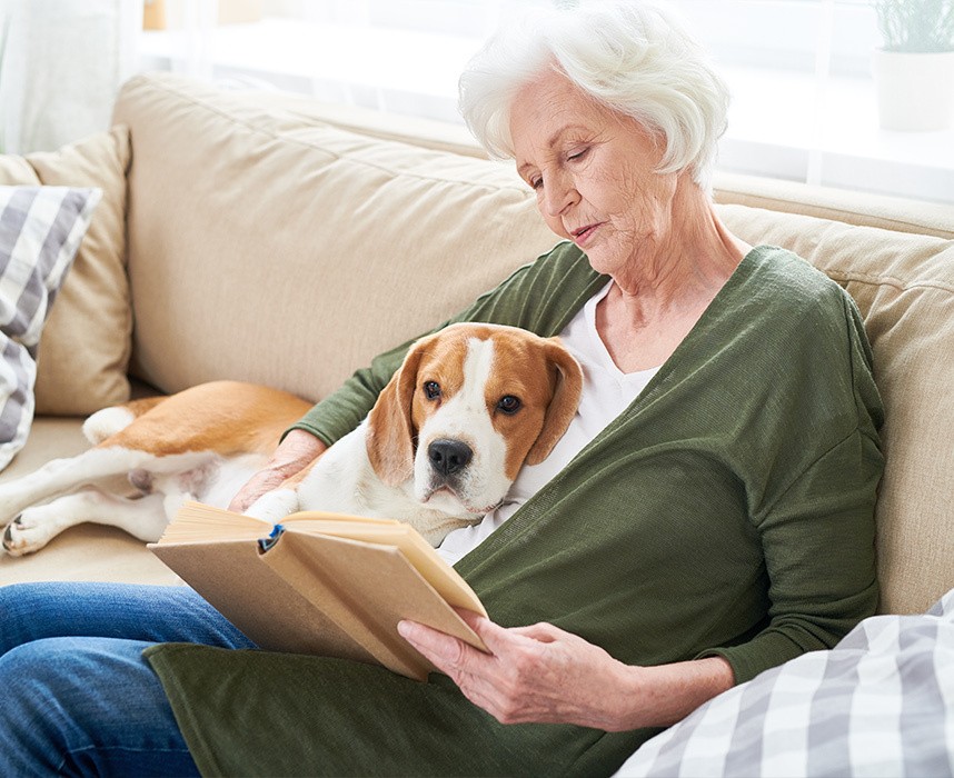 Les produits qui facilitent le quotidien des animaux et de leurs maîtres Ooba Ooba