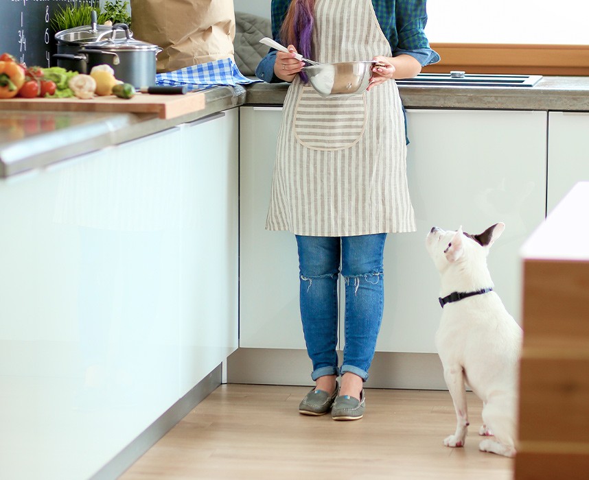 Les recettes de friandises maison à cuisiner pour son chien !