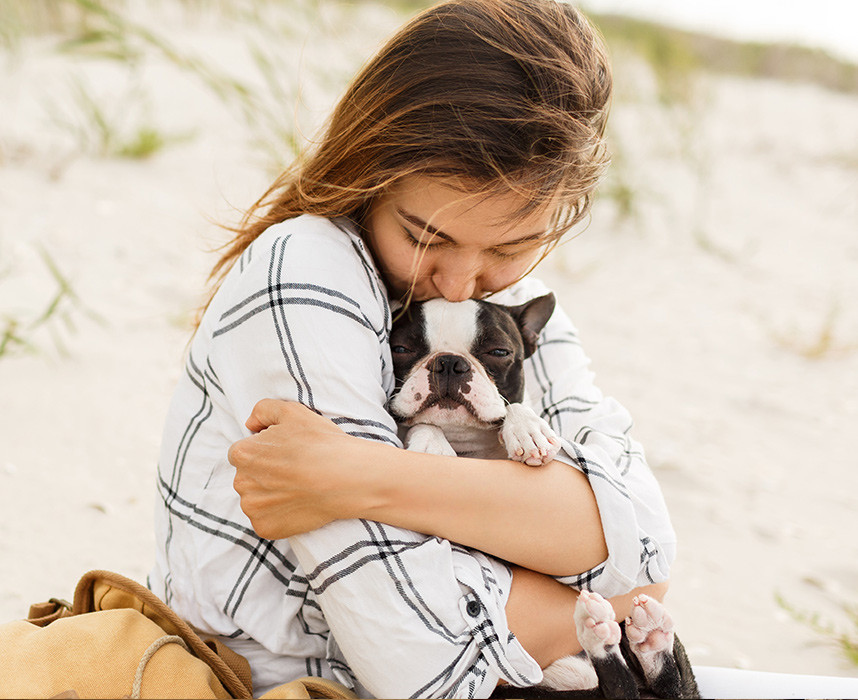 Comment apaiser le stress du voyage chez les animaux ? Ooba Ooba