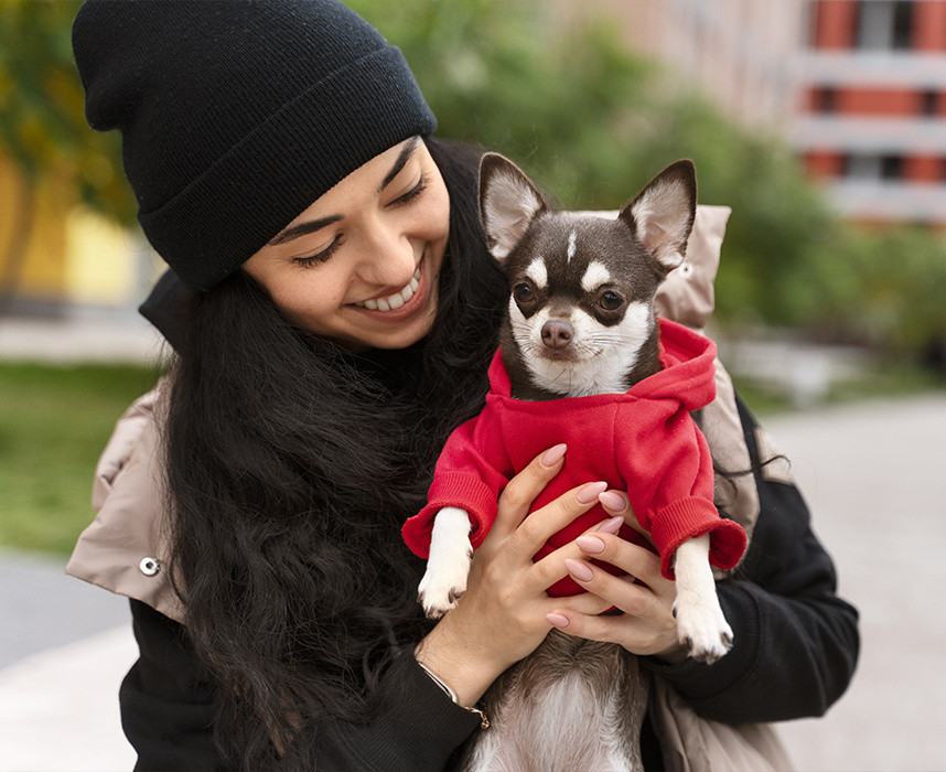 TOP 10 des produits à avoir quand on a un petit chien Ooba Ooba