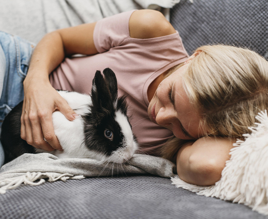 Quelles questions se poser avant d’adopter un lapin ? Ooba Ooba